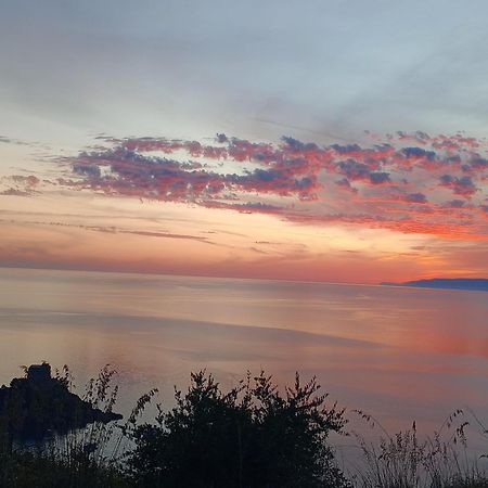 Hotel Villa Principe San Nicola Arcella Bagian luar foto